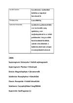 Prezentációk 'Növényrendszertan', 11.                