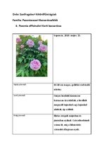 Prezentációk 'Növényrendszertan', 12.                