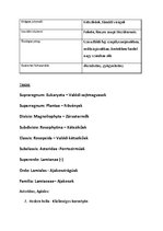 Prezentációk 'Növényrendszertan', 13.                