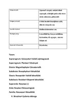 Prezentációk 'Növényrendszertan', 17.                