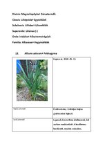 Prezentációk 'Növényrendszertan', 24.                