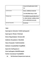 Prezentációk 'Növényrendszertan', 31.                