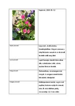 Prezentációk 'Növényrendszertan', 36.                