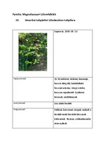 Prezentációk 'Növényrendszertan', 38.                