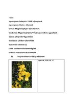 Prezentációk 'Növényrendszertan', 42.                