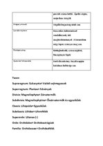 Prezentációk 'Növényrendszertan', 48.                