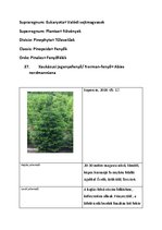 Prezentációk 'Növényrendszertan', 55.                