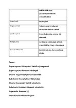 Prezentációk 'Növényrendszertan', 56.                