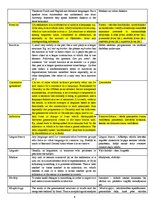 Összefoglalók, jegyzetek 'Glossary', 6.                