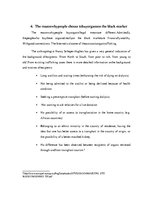 Kutatási anyagok 'Organ Trafficking', 8.                