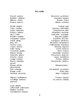 Kutatási anyagok 'Corruption', 16.                