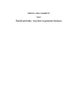 Esszék 'Social Networks - Way to Promote Business', 1.                