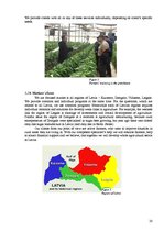 Üzleti tervek 'Latvian Rural Consultancy Centre', 20.                