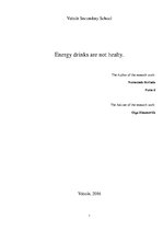 Kutatási anyagok 'Energy Drinks Are not Healthy', 1.                