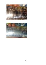 Kutatási anyagok 'Energy Drinks Are not Healthy', 20.                