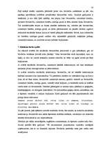Kutatási anyagok 'Berücksichtigung von semantischen und lexikalischen Merkmalen bei der Übersetzun', 24.                