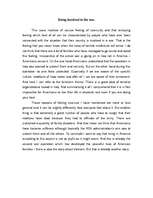 Kutatási anyagok 'Does America Reflect Our Future in the Safety Field?', 10.                