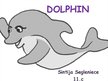 Prezentációk 'Dolphin', 1.                