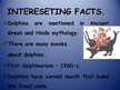 Prezentációk 'Dolphin', 13.                