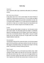 Esszék 'Traffic in Riga', 1.                