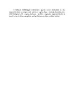 Összefoglalók, jegyzetek 'Vörösmarty: A vén cigány', 7.                