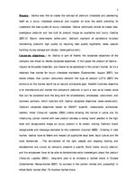 Kutatási anyagok 'Marketing Plan for "Godiva"', 1.                