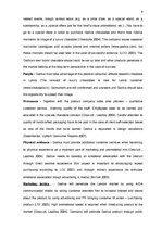 Kutatási anyagok 'Marketing Plan for "Godiva"', 9.                