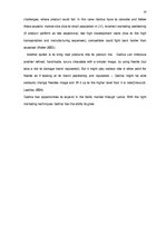 Kutatási anyagok 'Marketing Plan for "Godiva"', 13.                