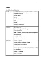 Kutatási anyagok 'Marketing Plan for "Godiva"', 14.                