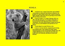 Prezentációk 'Fauna of Australia', 3.                