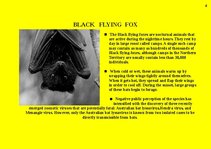 Prezentációk 'Fauna of Australia', 4.                