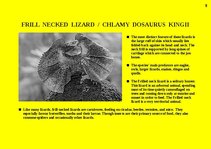 Prezentációk 'Fauna of Australia', 8.                