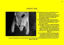 Prezentációk 'Fauna of Australia', 11.                