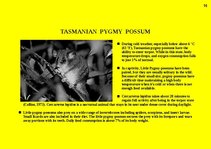 Prezentációk 'Fauna of Australia', 16.                