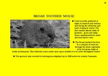 Prezentációk 'Fauna of Australia', 18.                