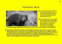 Prezentációk 'Fauna of Australia', 20.                