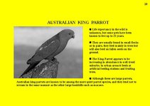 Prezentációk 'Fauna of Australia', 23.                