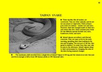 Prezentációk 'Fauna of Australia', 30.                