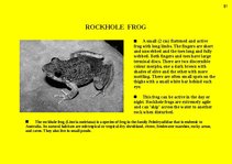 Prezentációk 'Fauna of Australia', 31.                