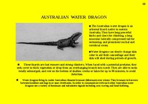 Prezentációk 'Fauna of Australia', 33.                