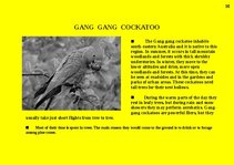 Prezentációk 'Fauna of Australia', 35.                