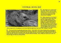 Prezentációk 'Fauna of Australia', 43.                