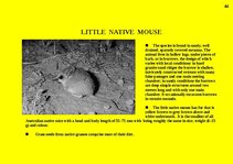 Prezentációk 'Fauna of Australia', 44.                