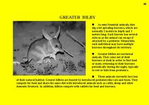 Prezentációk 'Fauna of Australia', 45.                