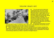 Prezentációk 'Fauna of Australia', 58.                