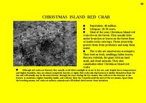 Prezentációk 'Fauna of Australia', 59.                