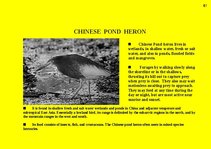 Prezentációk 'Fauna of Australia', 61.                