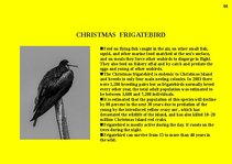 Prezentációk 'Fauna of Australia', 66.                