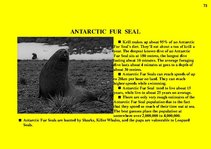 Prezentációk 'Fauna of Australia', 73.                