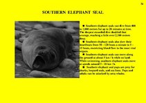 Prezentációk 'Fauna of Australia', 74.                